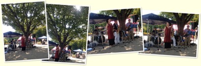 アルバムを表示します