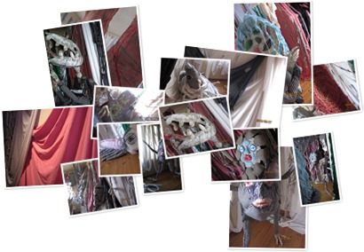 アルバムを表示します