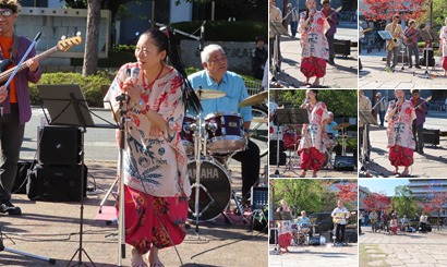 アルバムを表示します